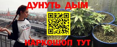 стафф Будённовск