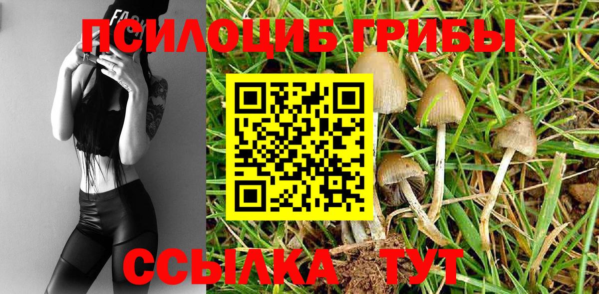 Псилоцибиновые грибы GOLDEN TEACHER Нижнекамск