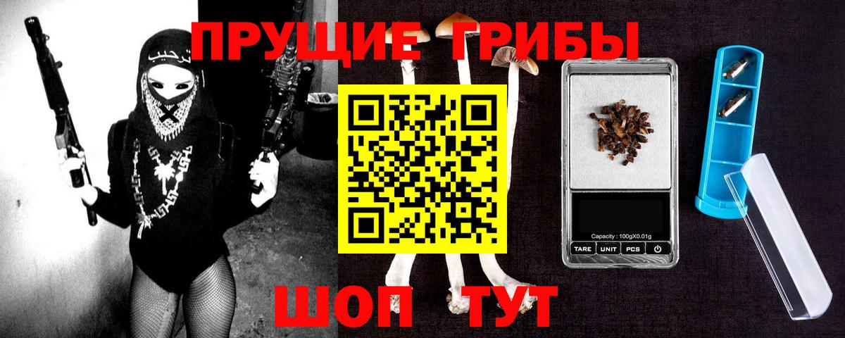 Нижнекамск  Псилоцибиновые грибы MAGIC MUSHROOMS  Вход с VPN 